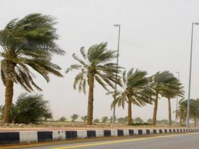 نشرية خاصة 